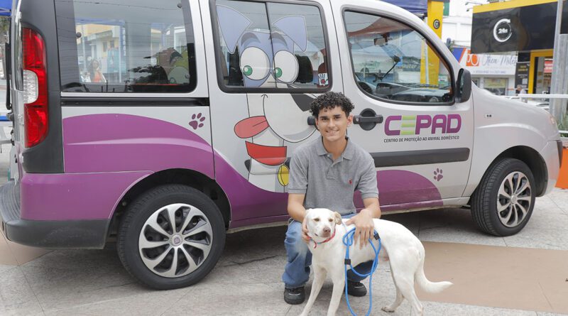 Feiras de Adoção de Pets em Barueri: Encontre seu Novo Amigo em Janeiro